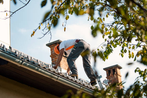 Best Storm Damage Roof Repair  in Jersey Shore, PA